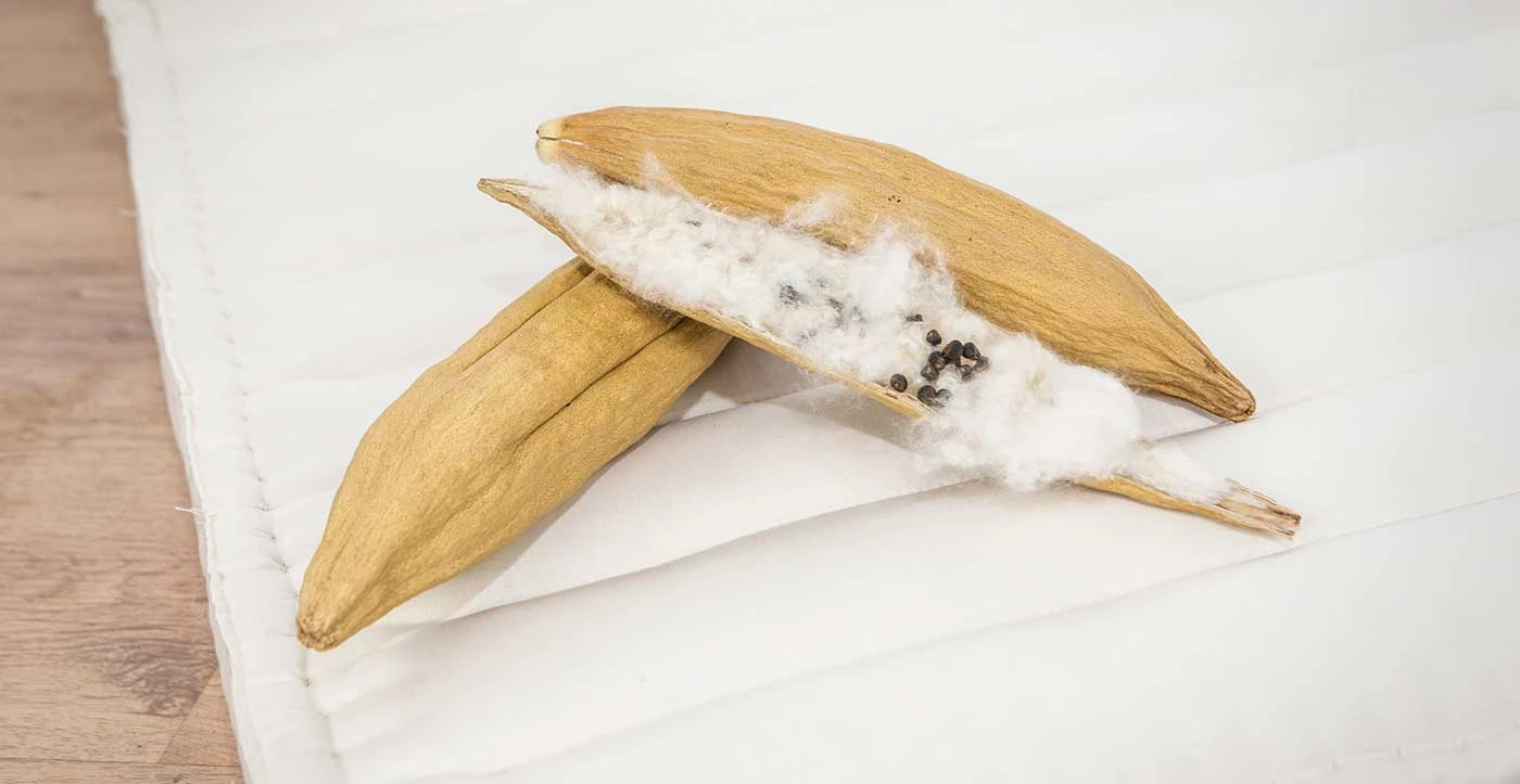 Das Geheimnis von Kapok: Woher es kommt und wo man es findet