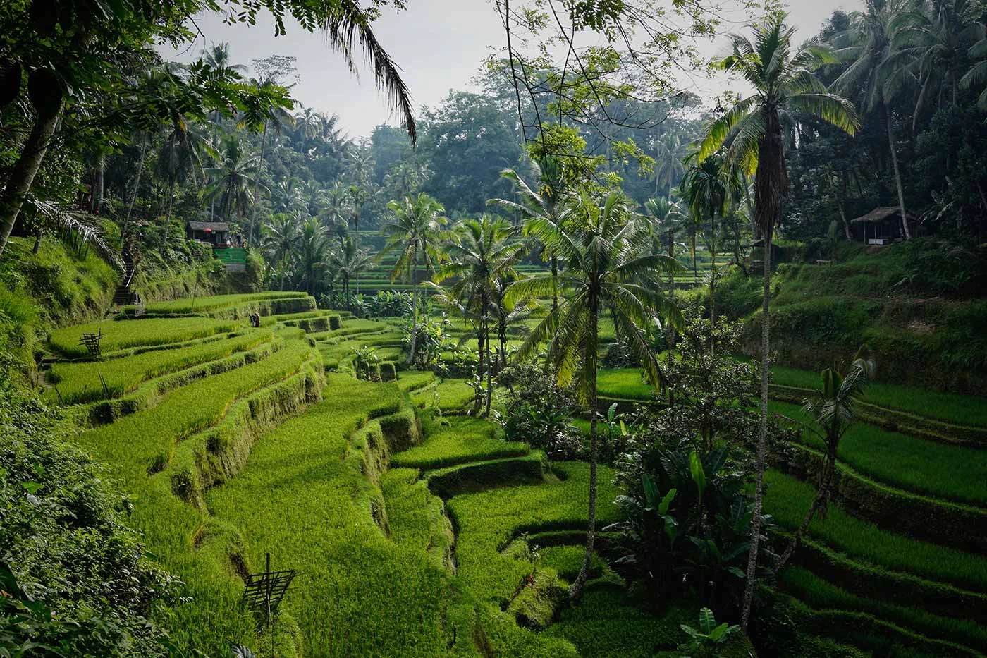 Erlebe das Abenteuer deines Lebens: Camperurlaub in Asien